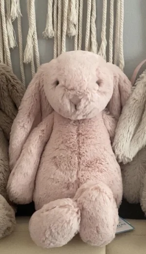 Bashful Blush Bunny Jellycat photo uploaded by Mollysjellys