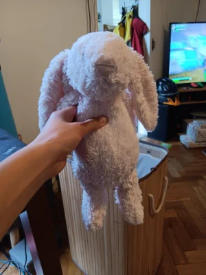 Bashful Blush Bunny Jellycat photo uploaded by J3llyc4t