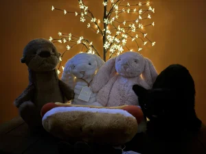 Bashful Blush Bunny Jellycat photo uploaded by catycake