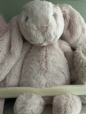 Bashful Blush Bunny Jellycat photo