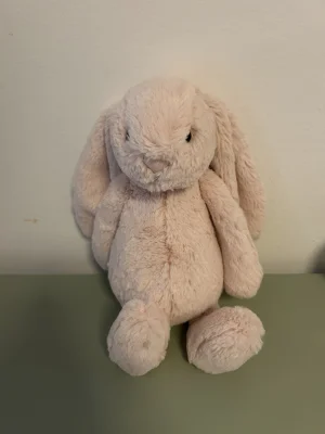 Bashful Blush Bunny Jellycat | Jelly Journal