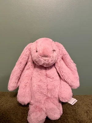 A photo of Bashful Tulip Pink Bunny - Medium Jellycat taken by Raychandthejellies