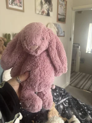 Bashful Tulip Pink Bunny - Medium Jellycat photo uploaded by Slanelivhill