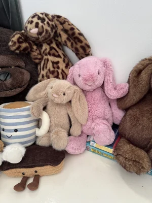 A photo of Bashful Tulip Pink Bunny - Medium Jellycat taken by Mossmallow400