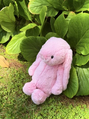 Bashful Tulip Pink Bunny - Medium Jellycat | Jelly Journal
