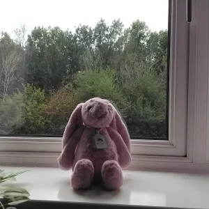 Bashful Tulip Pink Bunny - Medium Jellycat photo