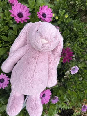 A photo of Bashful Tulip Pink Bunny - Medium Jellycat taken by mila_jellycat07