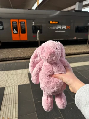 A photo of Bashful Tulip Pink Bunny - Medium Jellycat taken by Swiftiejellycat