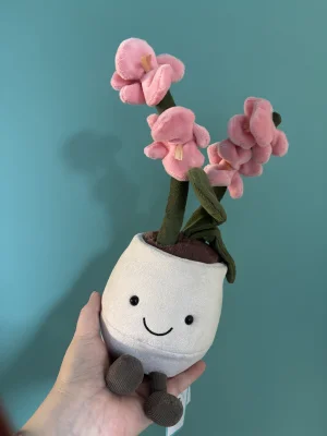Amuseables Pink Orchid Jellycat | Jelly Journal