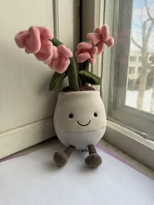 Amuseables Pink Orchid Jellycat | Jelly Journal