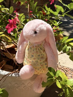 A photo of Bashful Pink Bunny - Medium Jellycat taken by jellycatangel