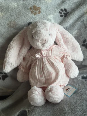 A photo of Bashful Pink Bunny - Medium Jellycat taken by Nella99