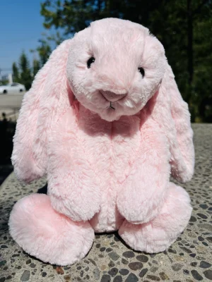Bashful Pink Bunny - Medium Jellycat | Jelly Journal