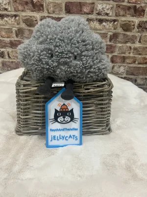A photo of Amuseables Storm Cloud Jellycat taken by Raychandthejellies