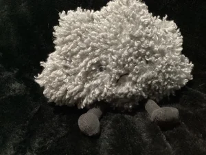Amuseables Storm Cloud Jellycat photo uploaded by Jellybunnys1984