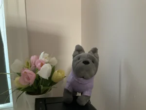 Sweater French Bulldog Purple Jellycat photo uploaded by Luxebunny10