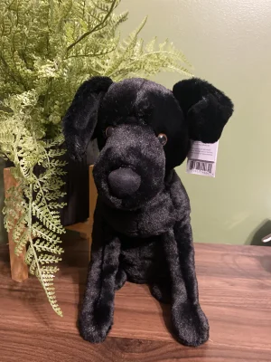 A photo of Pippa Black Labrador Jellycat taken by Davey_13