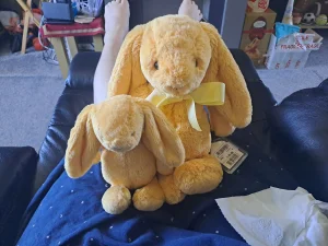 Bashful Sunshine Bunny Jellycat photo