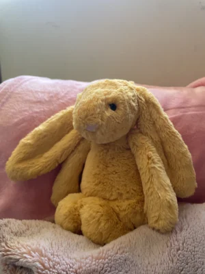 Bashful Sunshine Bunny Jellycat photo