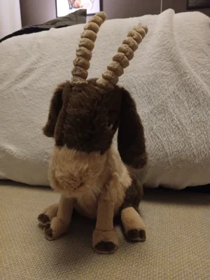 Glenny Goat Jellycat photo