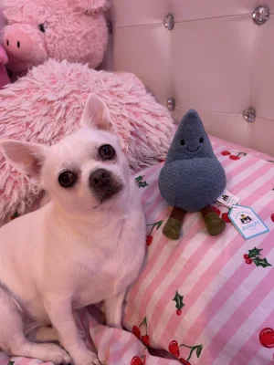 Amuseables Happy Raindrop Jellycat photo