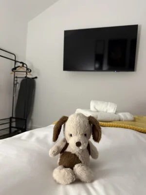 A photo of Backpack Puppy Jellycat taken by Lozberry13