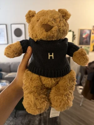 A photo of Bartholomew Bear with Personalised Navy Jumper Jellycat taken by shivnpatel
