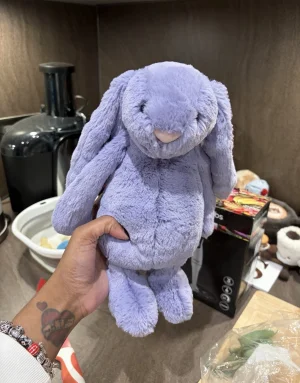 Bashful Viola Bunny Jellycat photo uploaded by Seni113