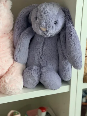 Bashful Viola Bunny Jellycat | Jelly Journal