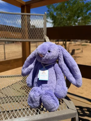 Bashful Viola Bunny Jellycat | Jelly Journal