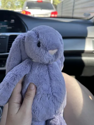  Bashful Dusky Blue ・Viola Bashful Viola Bunny Jellycat | Jelly Journal