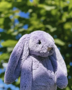 Bashful Viola Bunny Jellycat | Jelly Journal