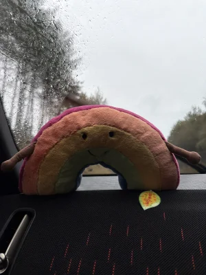 Amuseables Rainbow Jellycat photo