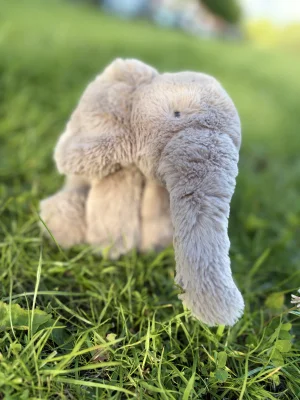 Smudge Elephant - Medium Jellycat photo