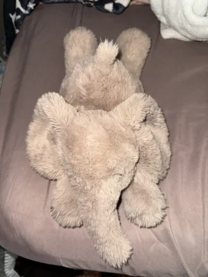 Smudge Elephant - Medium Jellycat photo uploaded by Lexijoyce