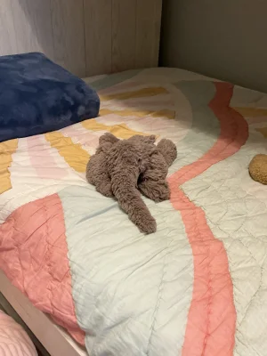 Front photo of Smudge Elephant - Medium uploaded by suttonelizabeth