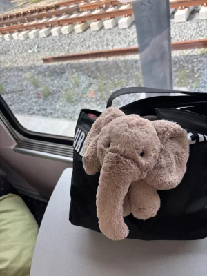 Smudge Elephant - Medium Jellycat photo uploaded by monki123