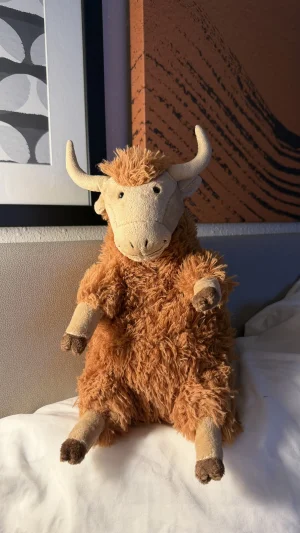 A photo of Herbie Highland Cow Jellycat taken by bronzieandthejellies