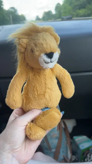 Bashful Lion Jellycat photo uploaded by mayasjellycats133