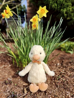 Photo by jellycatmandy