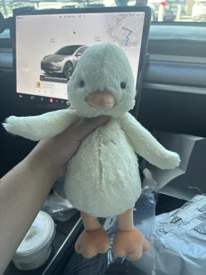 Bashful Duckling Jellycat photo