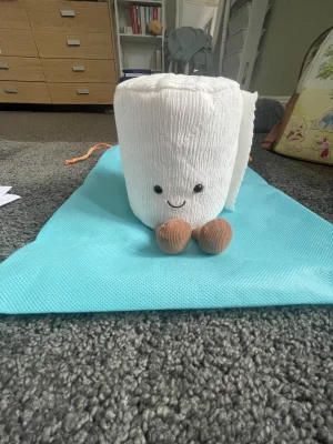 Amuseables Toilet Roll Jellycat photo