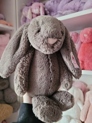 Bashful Truffle Bunny - Medium Jellycat | Jelly Journal