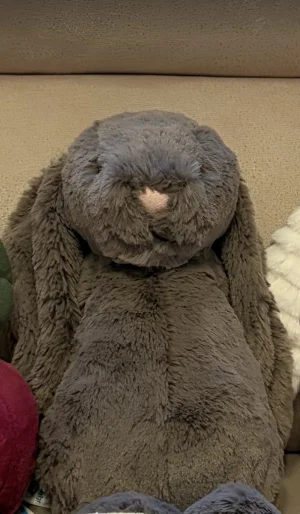 Bashful Truffle Bunny - Medium Jellycat | Jelly Journal