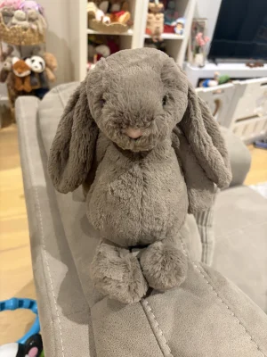 Bashful Truffle Bunny - Medium Jellycat | Jelly Journal