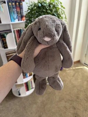 Bashful Truffle Bunny - Medium Jellycat | Jelly Journal