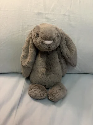 Bashful Truffle Bunny - Medium Jellycat | Jelly Journal