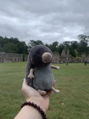 Muswell Mole Jellycat photo