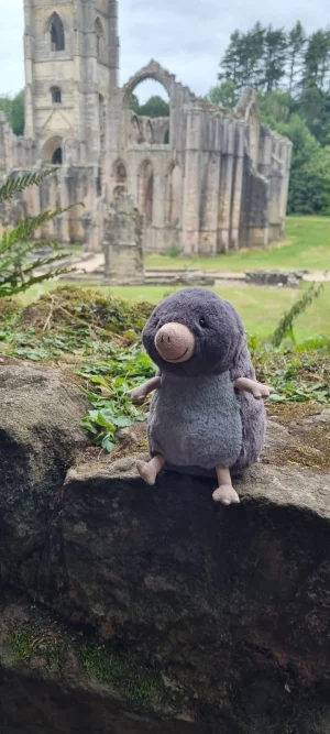 Muswell Mole Jellycat photo