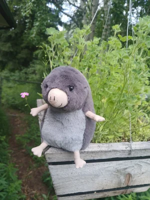 Muswell Mole Jellycat photo